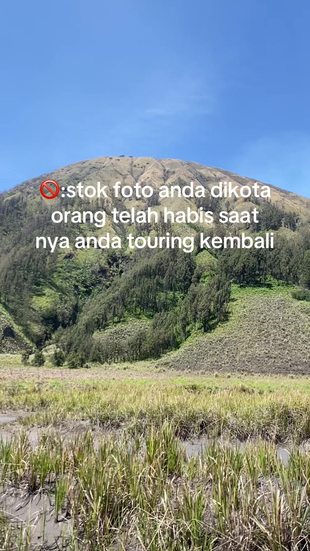 @Yogi Tri