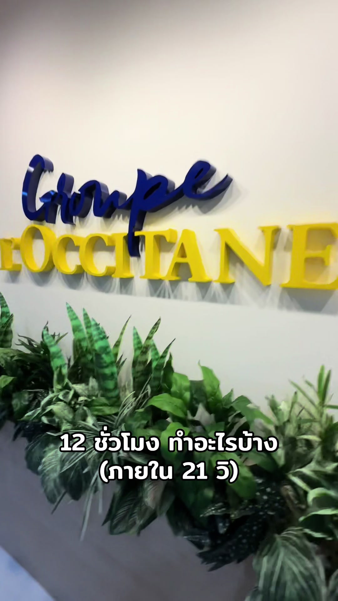 @เติ้ลเด็กเชลซี💙