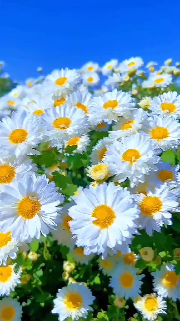 @Nurullah 171