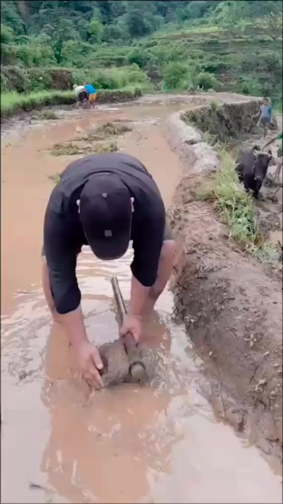 @Bjy Sonu Puntu kale
