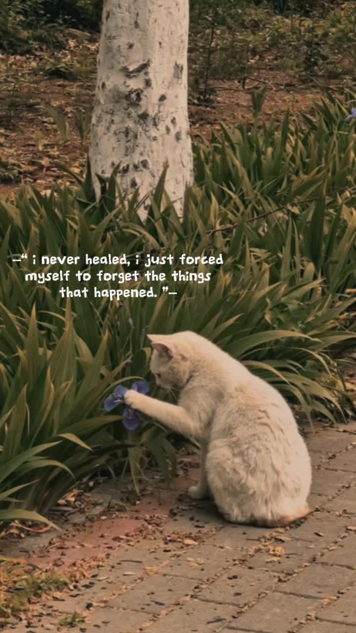 @𝒔𝒉𝒆 𝒓𝒐𝒔𝒆