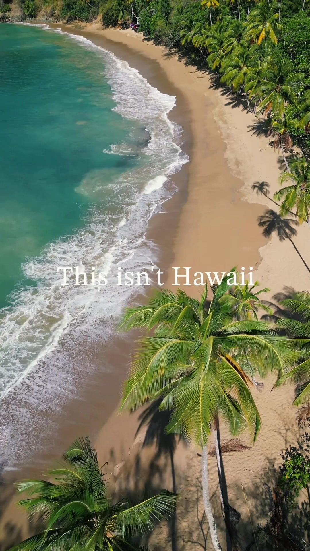 @Trini Surfer™️🇹🇹