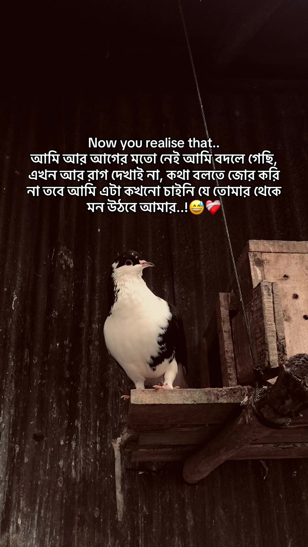 @the_spydoo🕸️ 🥏