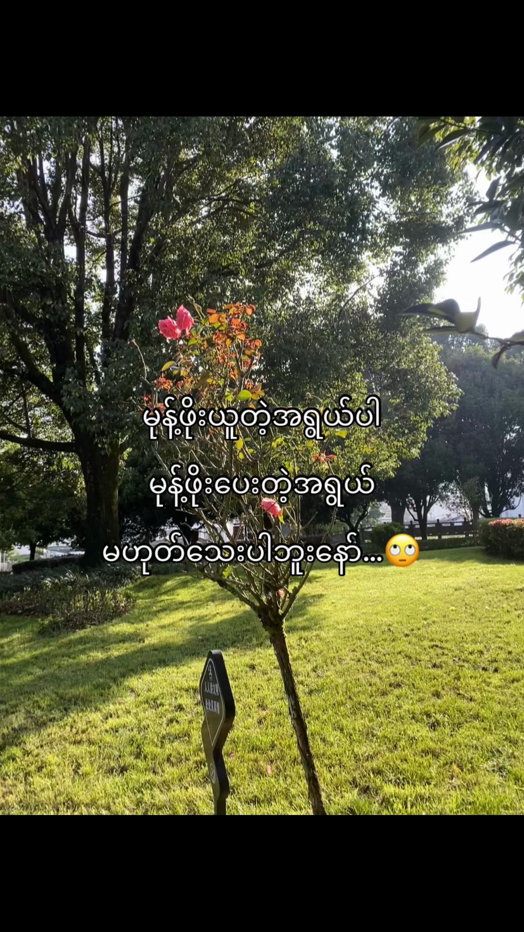 @๐๐พ๐๐”