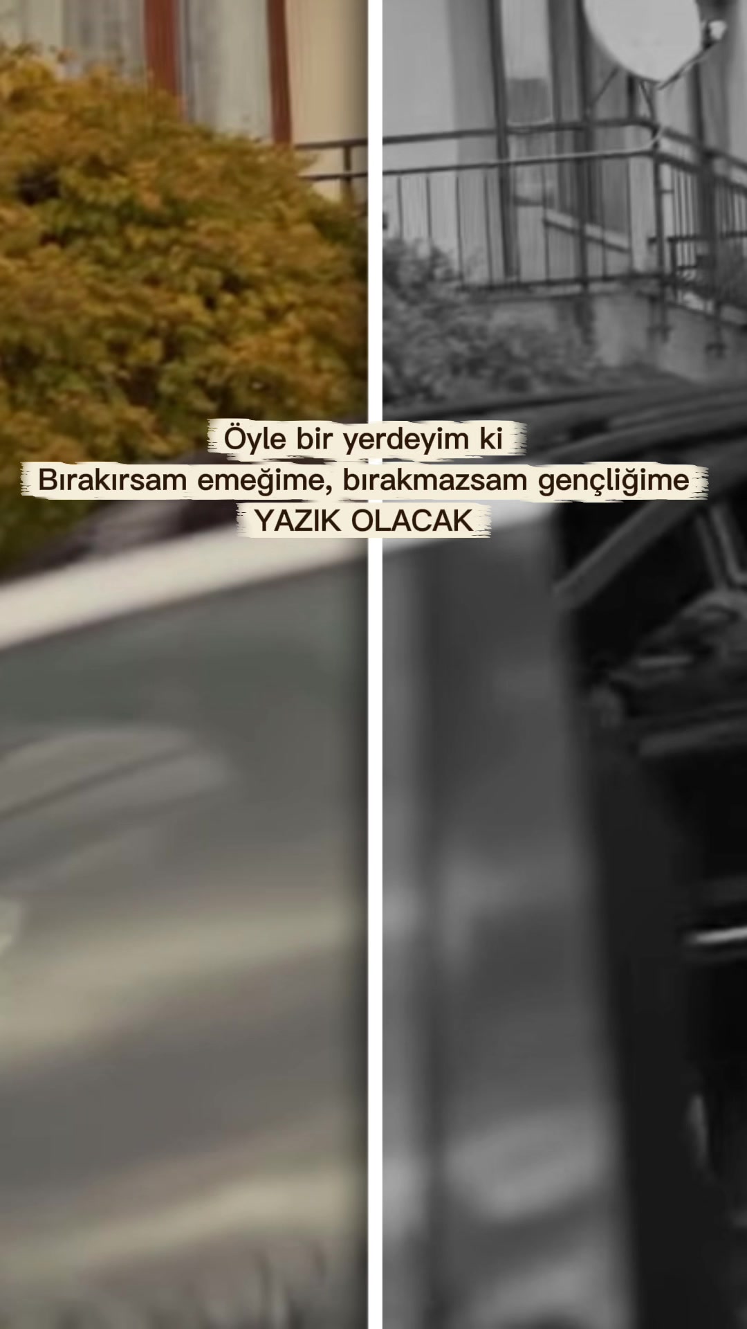 @Cüneyt Şahin