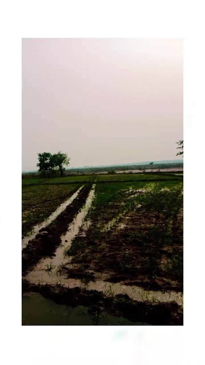 @SULTAN JUTT😎
