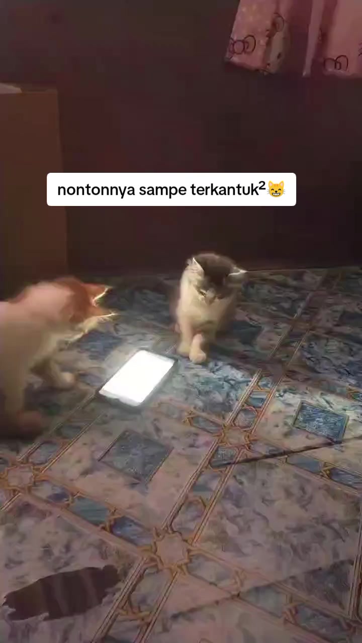 @Lina herlina