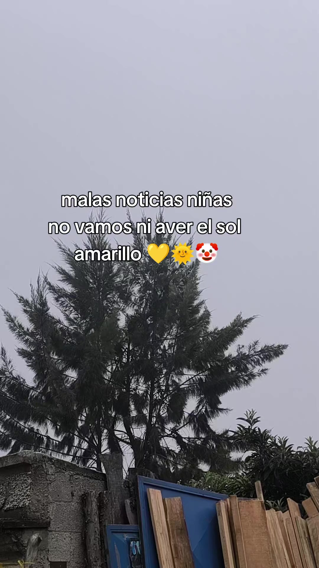 @Dariana 502🇬🇹