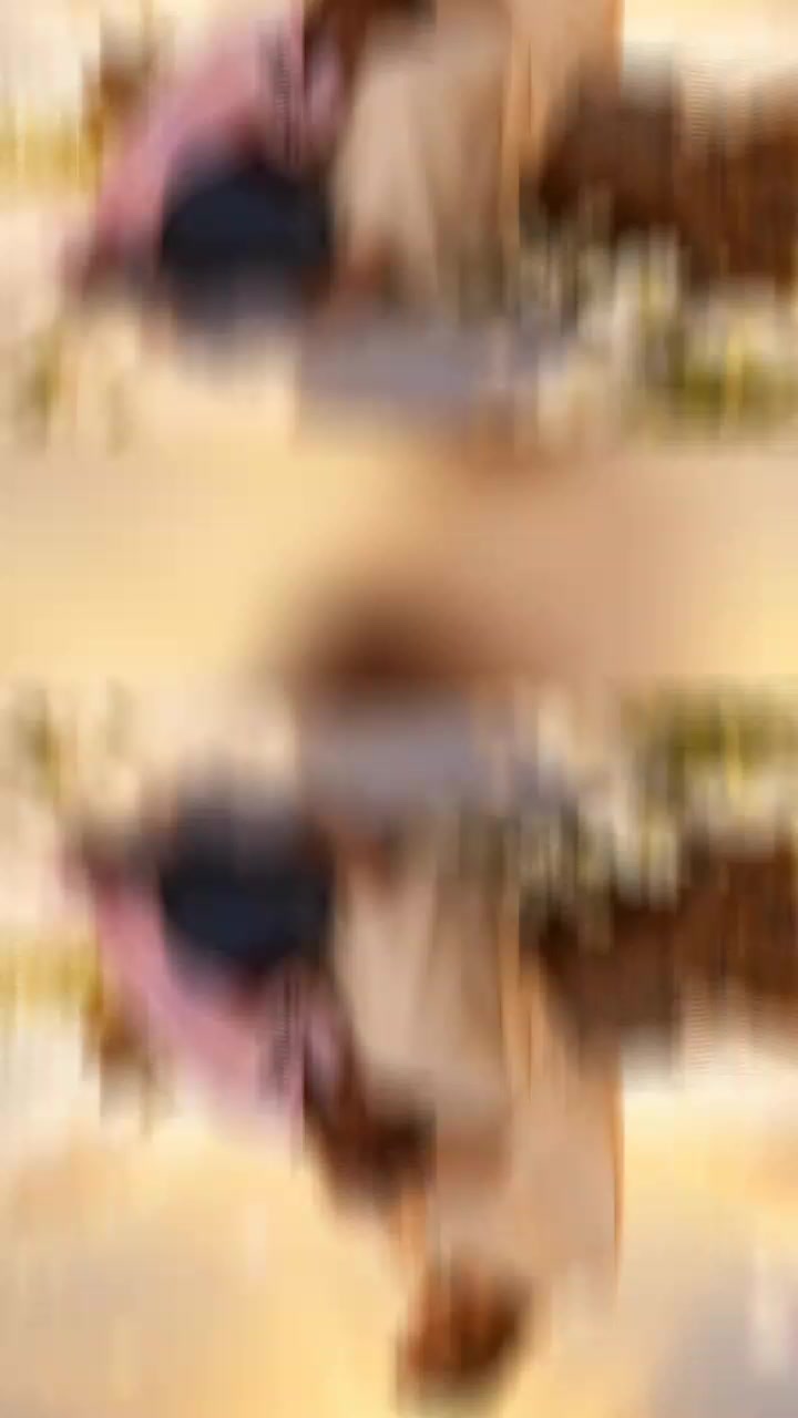 @Diane🥀🥀🫂
