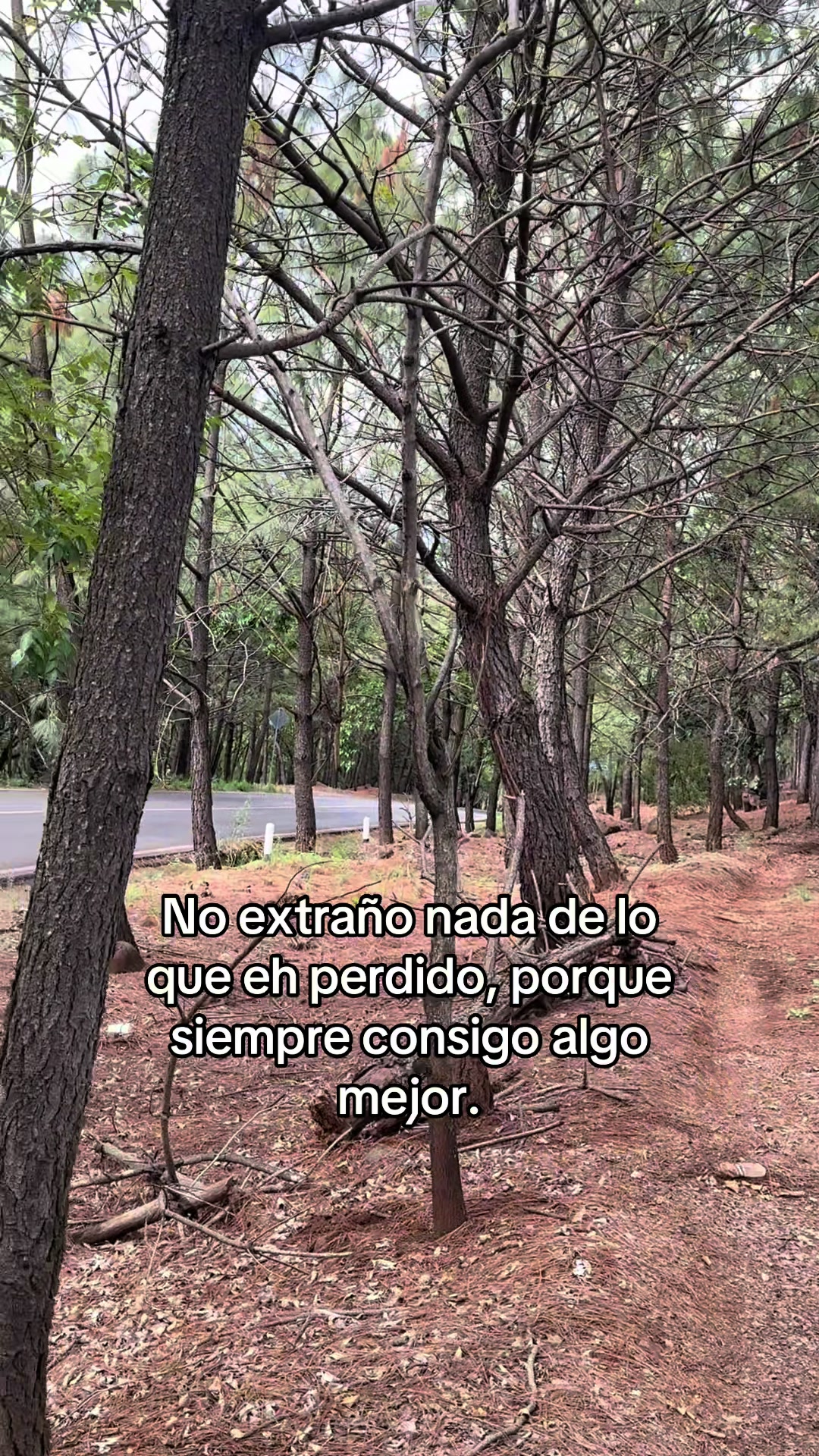 @maiky_hc