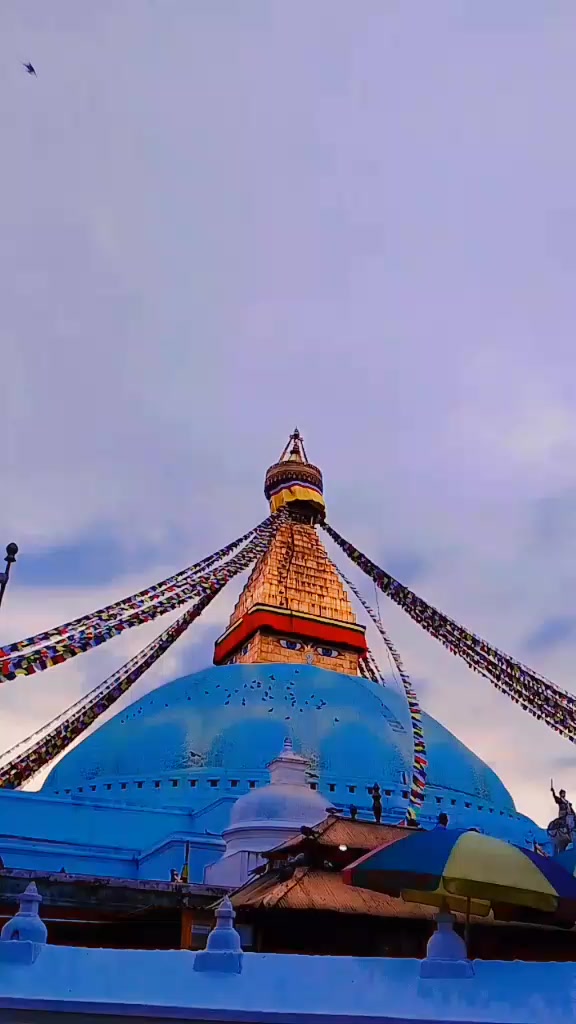 @Rabina Rai🇳🇵