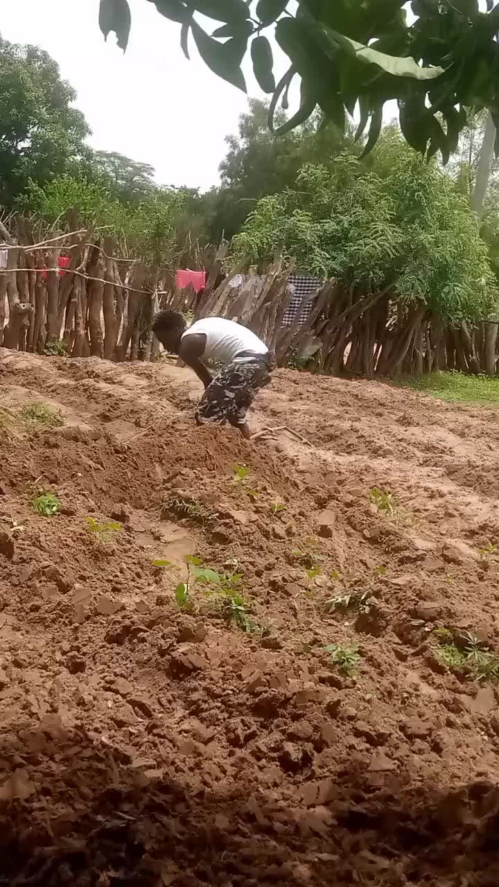 @M Bojang