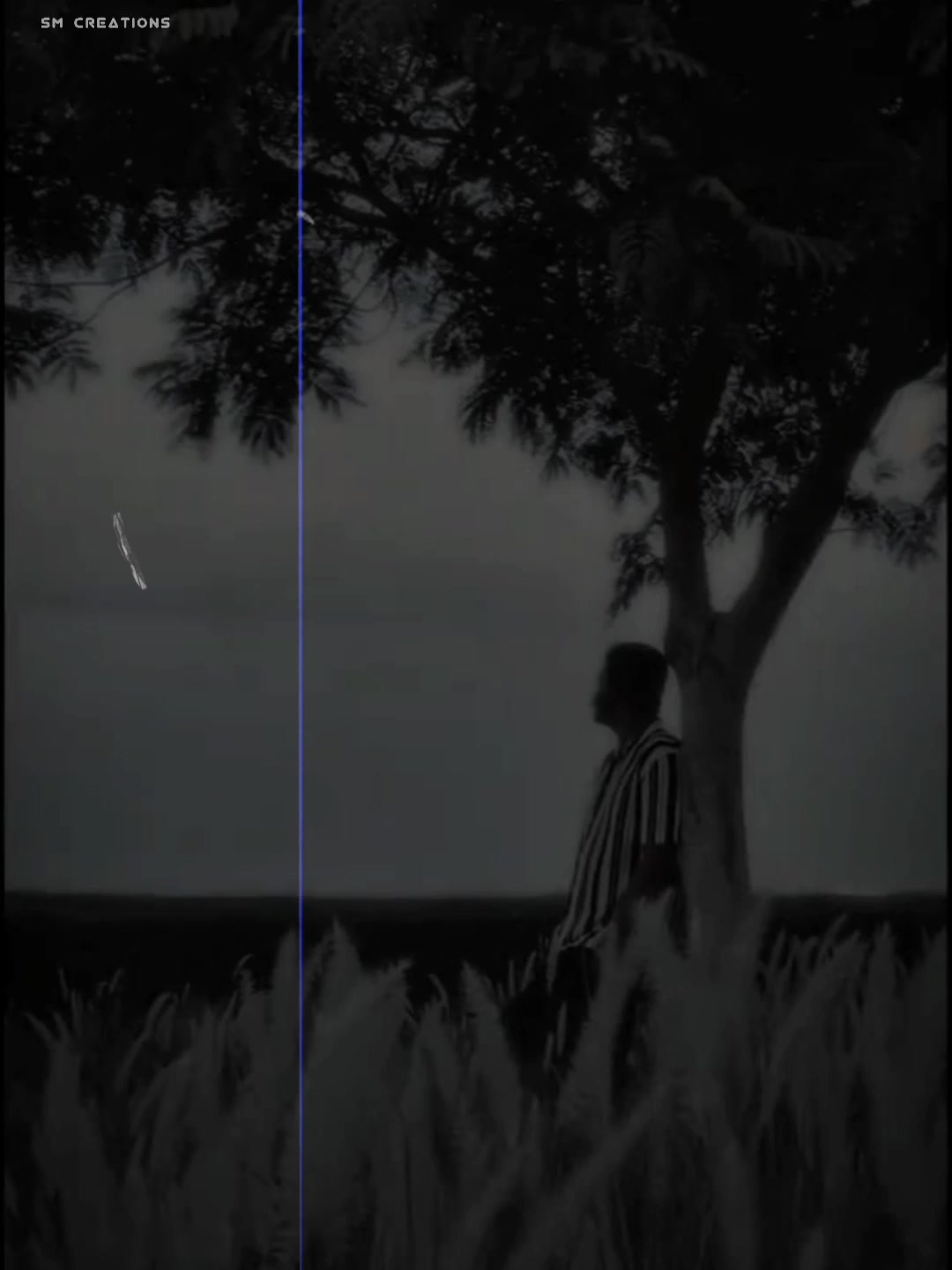 @𝐒.𝐌 𝐂𝐫𝐞𝐚𝐭𝐢𝐨𝐧𝐬 ◉♬◉