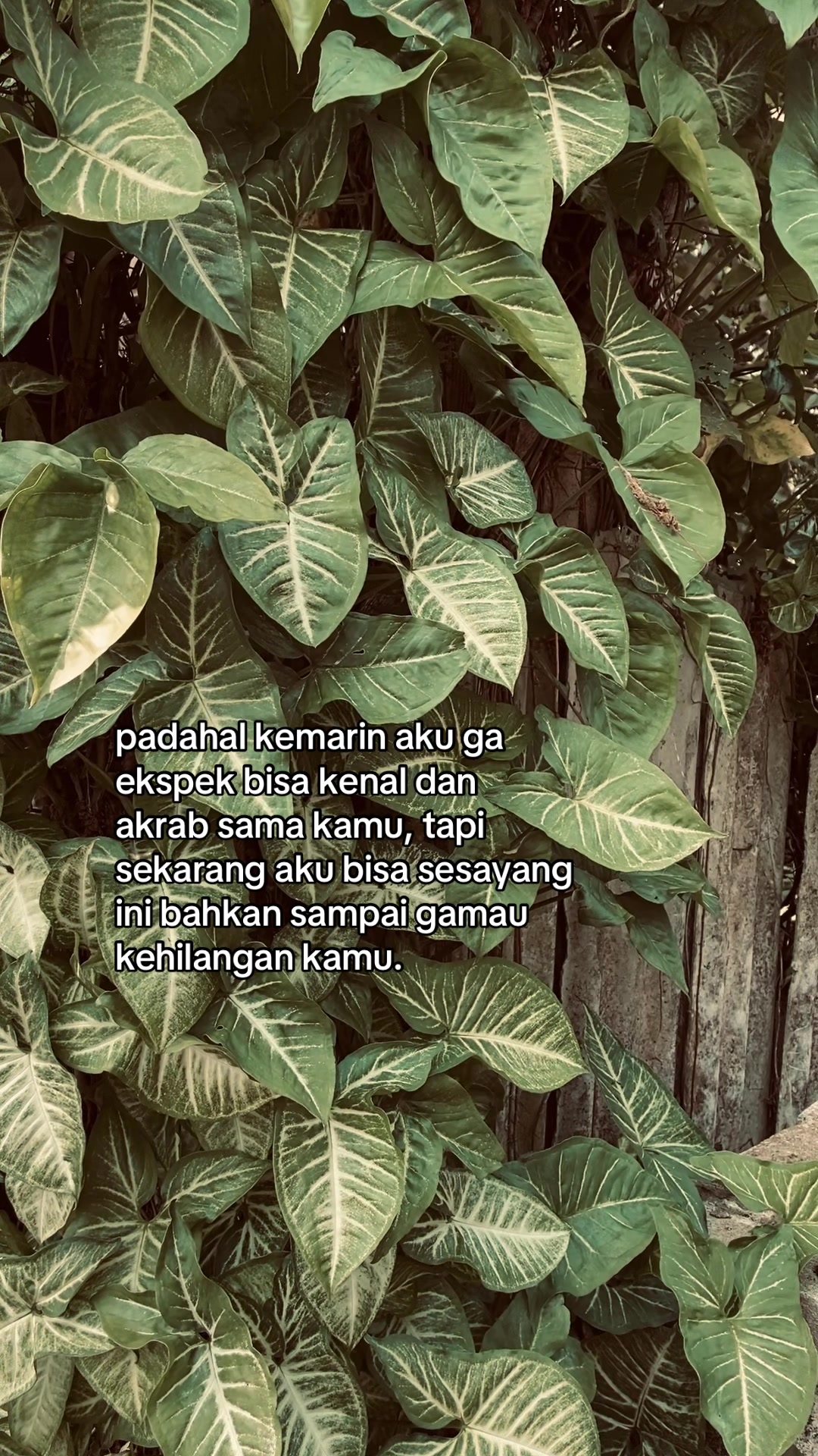 @Ryzz💫