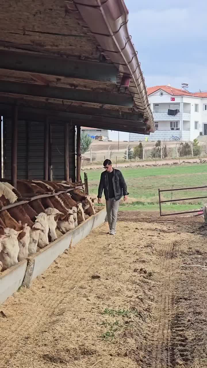 @Sinan Öztürk