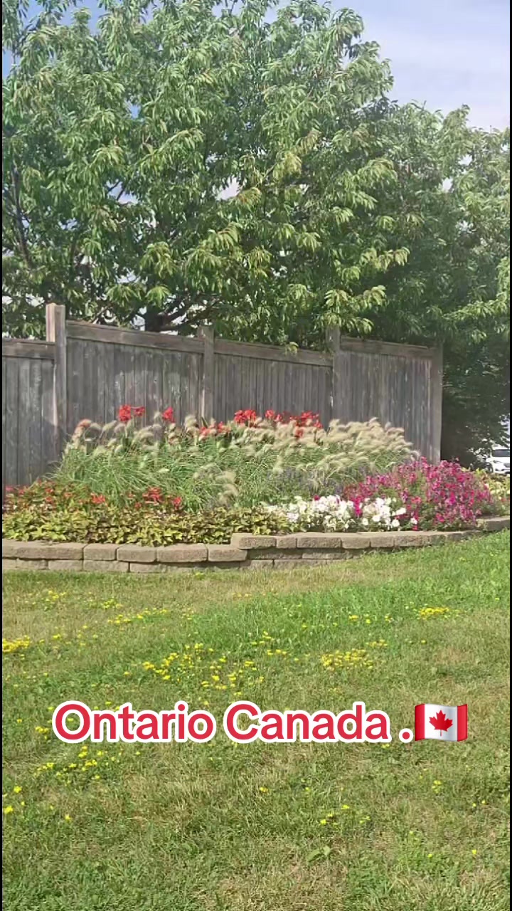 @Torontoboss34 🇨🇦