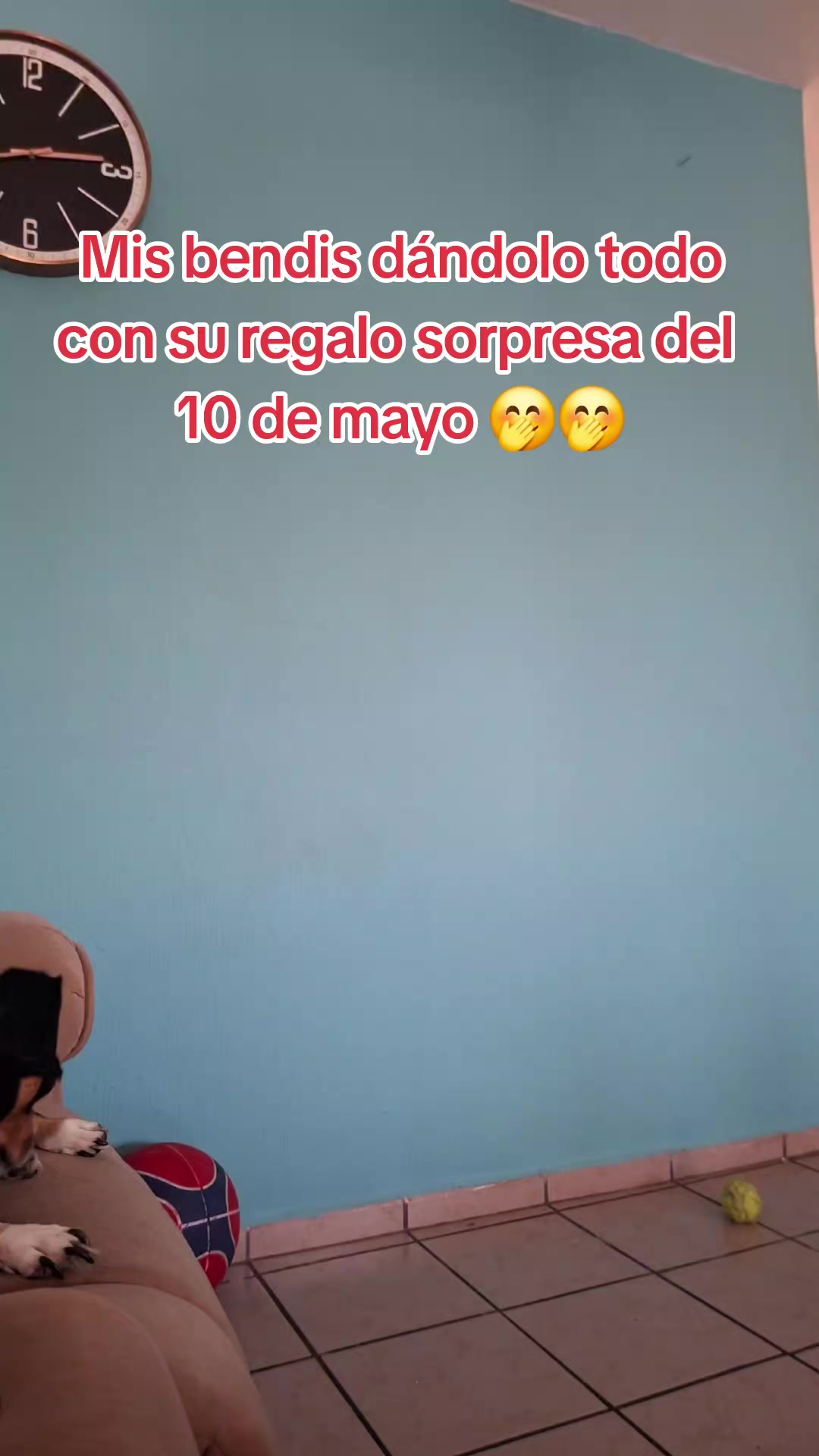 @Sandra (✿^‿^)