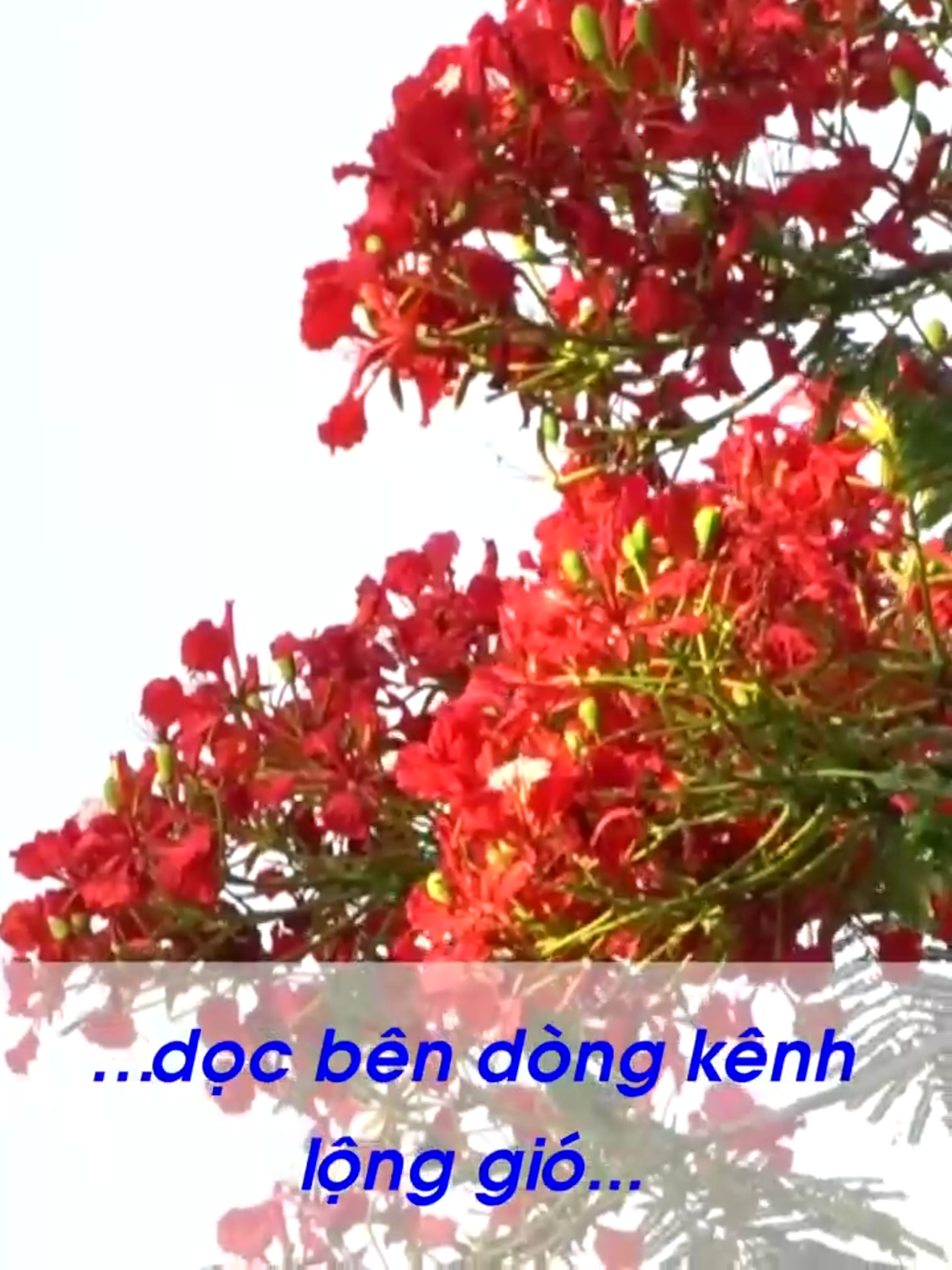 @Nội dung số v&agrave; Truyền th&ocirc;ng