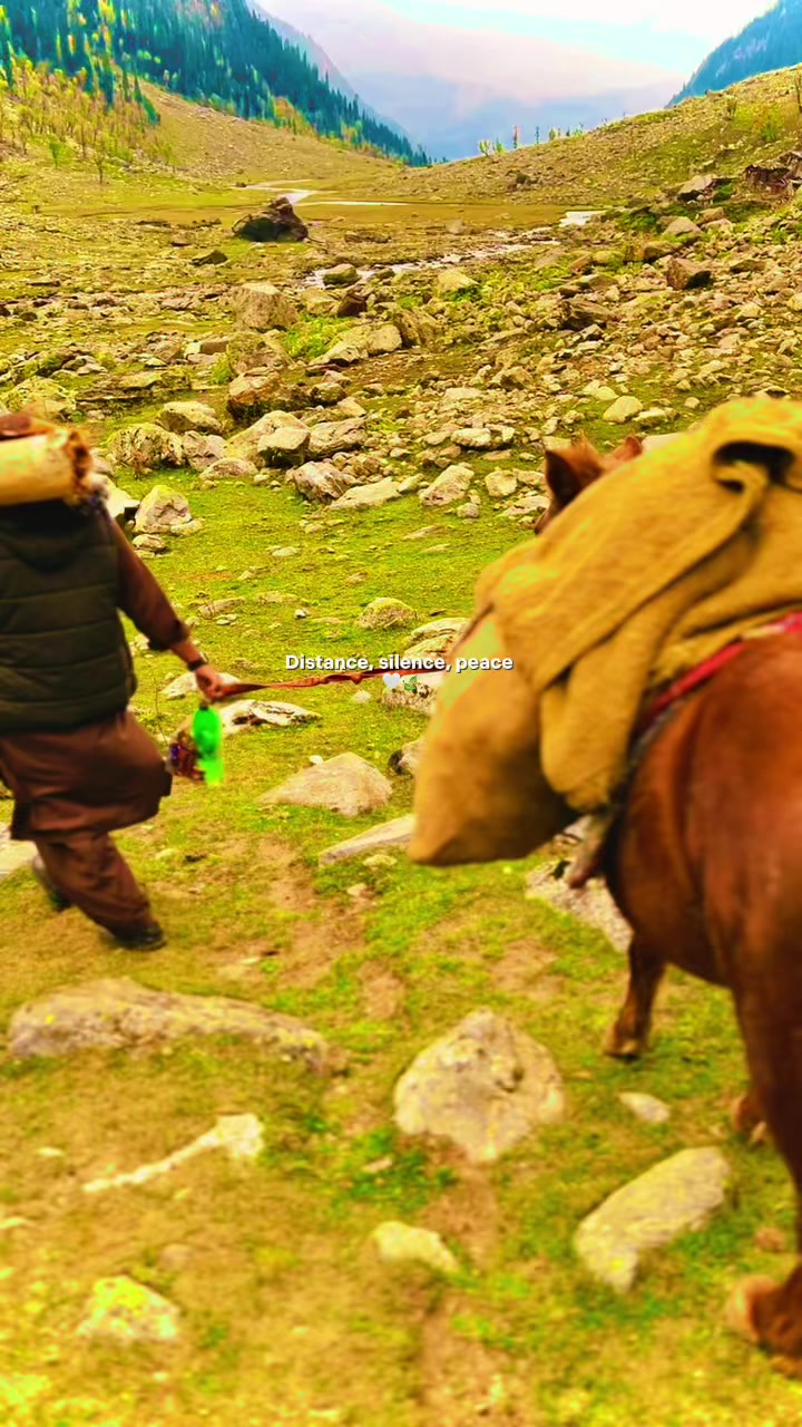 @Himalaya Trips & Tours