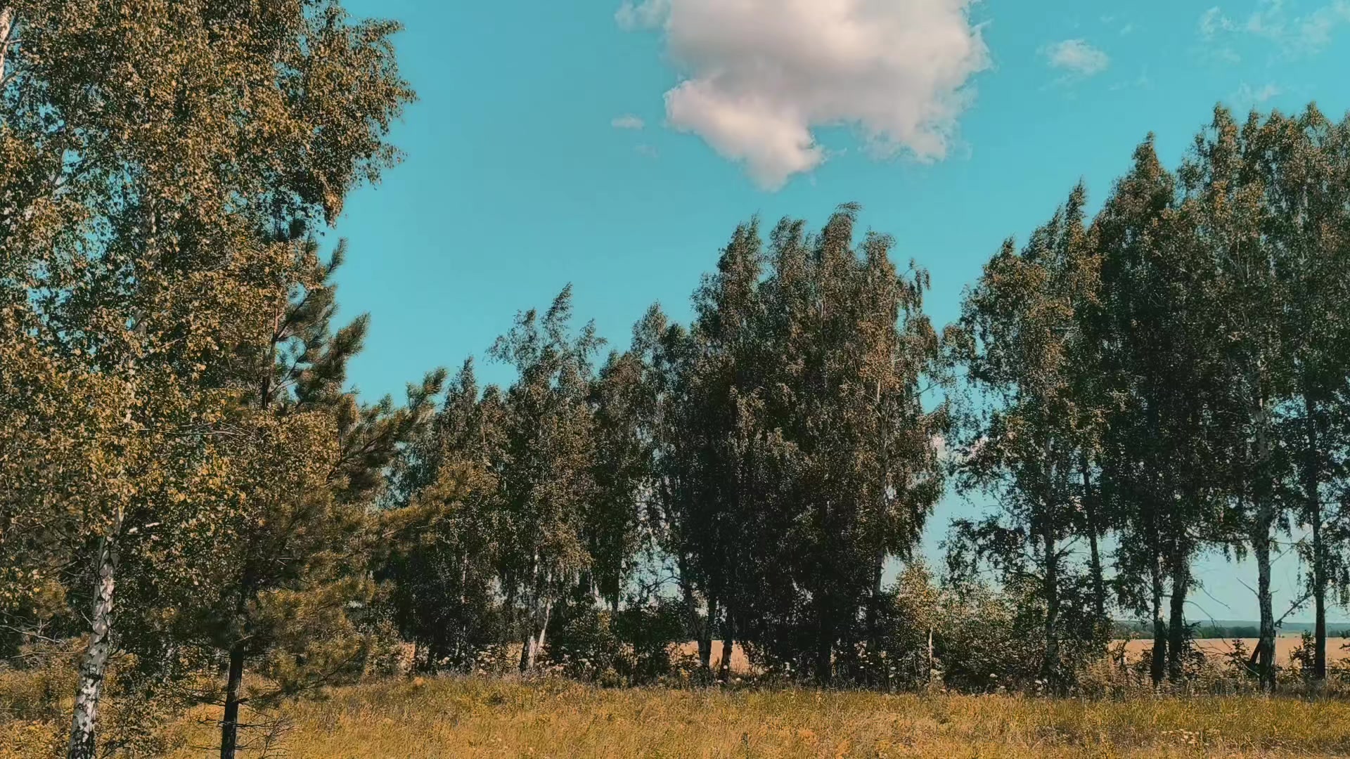 @𝑸𝒘𝒘𝒆𝒏𝒌𝒊