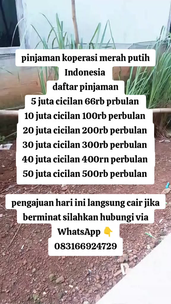 @KOPERASI Pinjaman Merah Putih