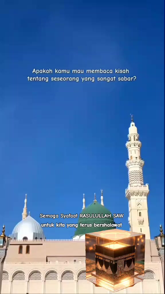 @زكي الفارسي
