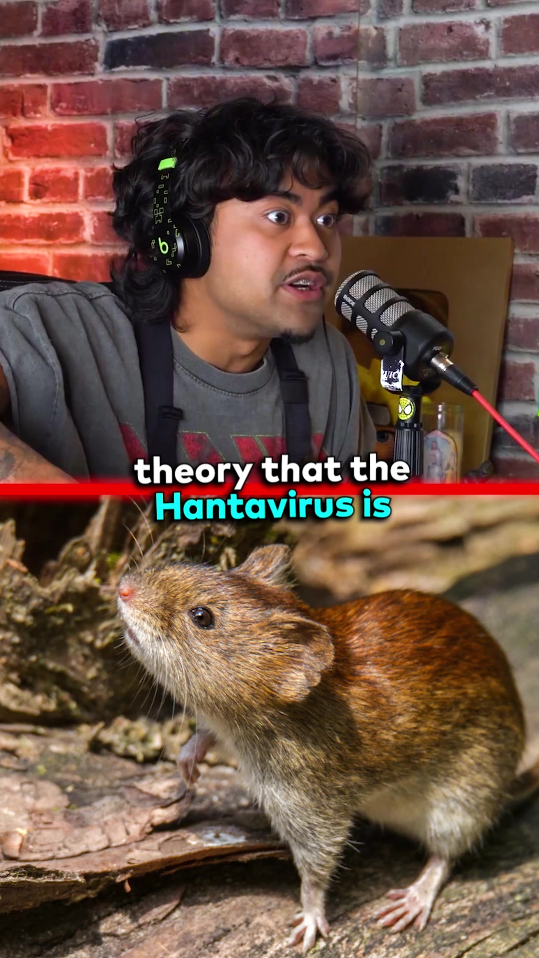 @Jumpers Jump Podcast