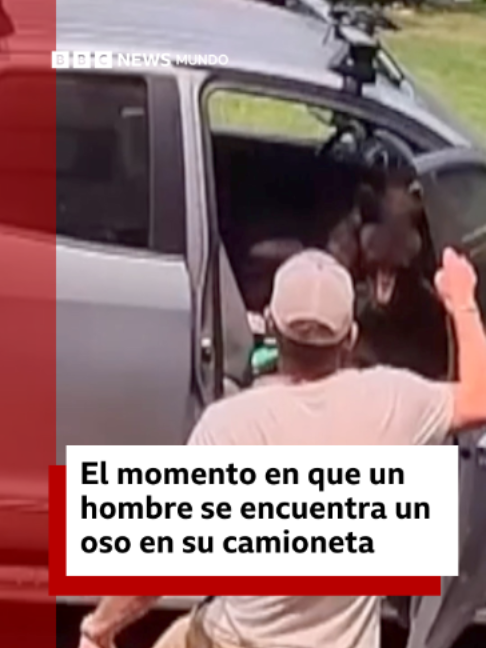 @BBC News Mundo