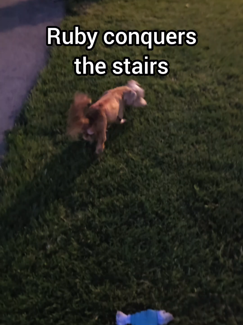 @BuddyandMikes Pal