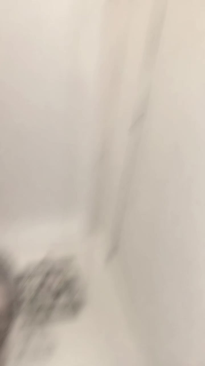 @🥰 কাঠ গোলাপ 🥰