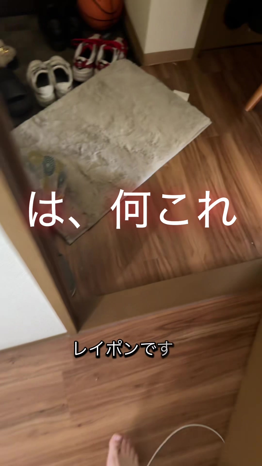 @れいぽん