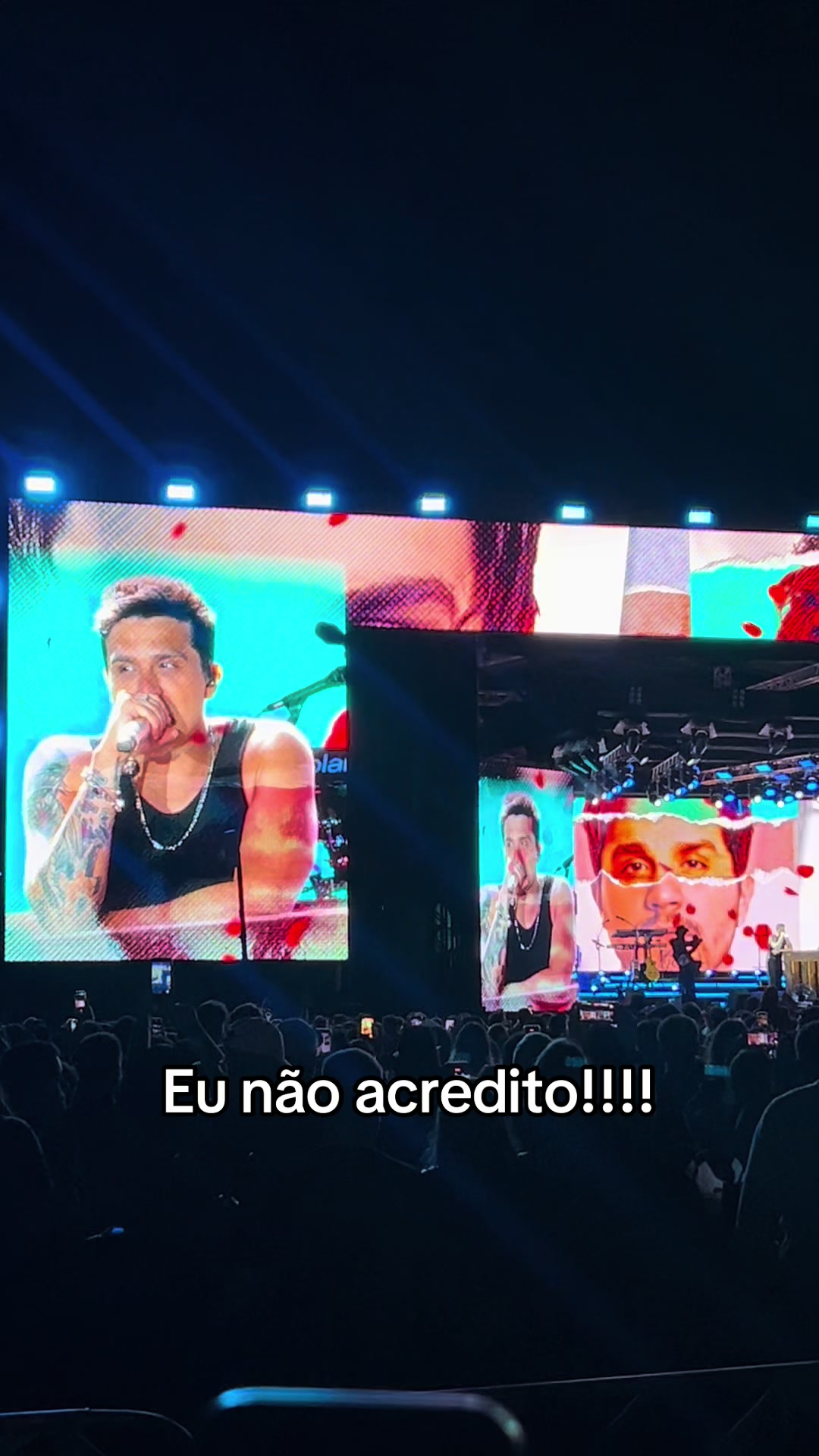 @Vanessa Souza
