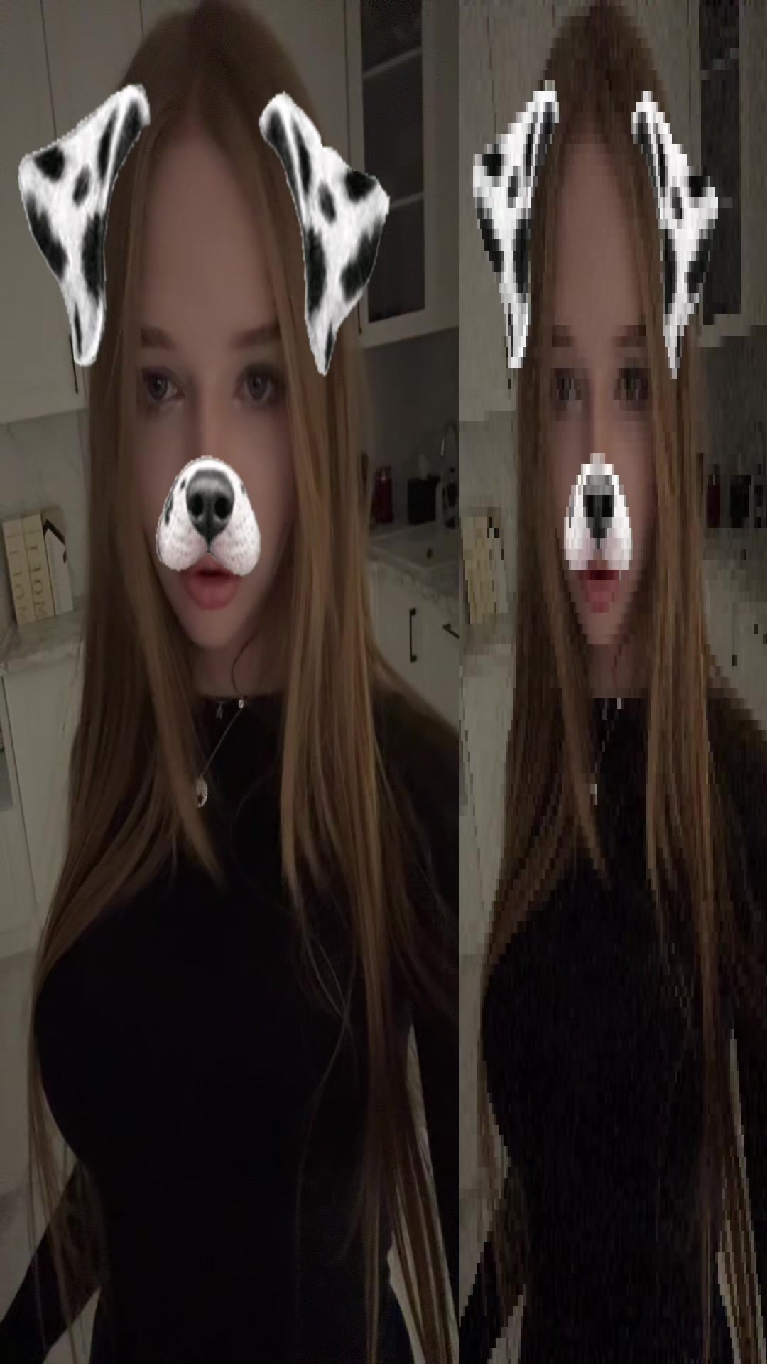 @=^.^=