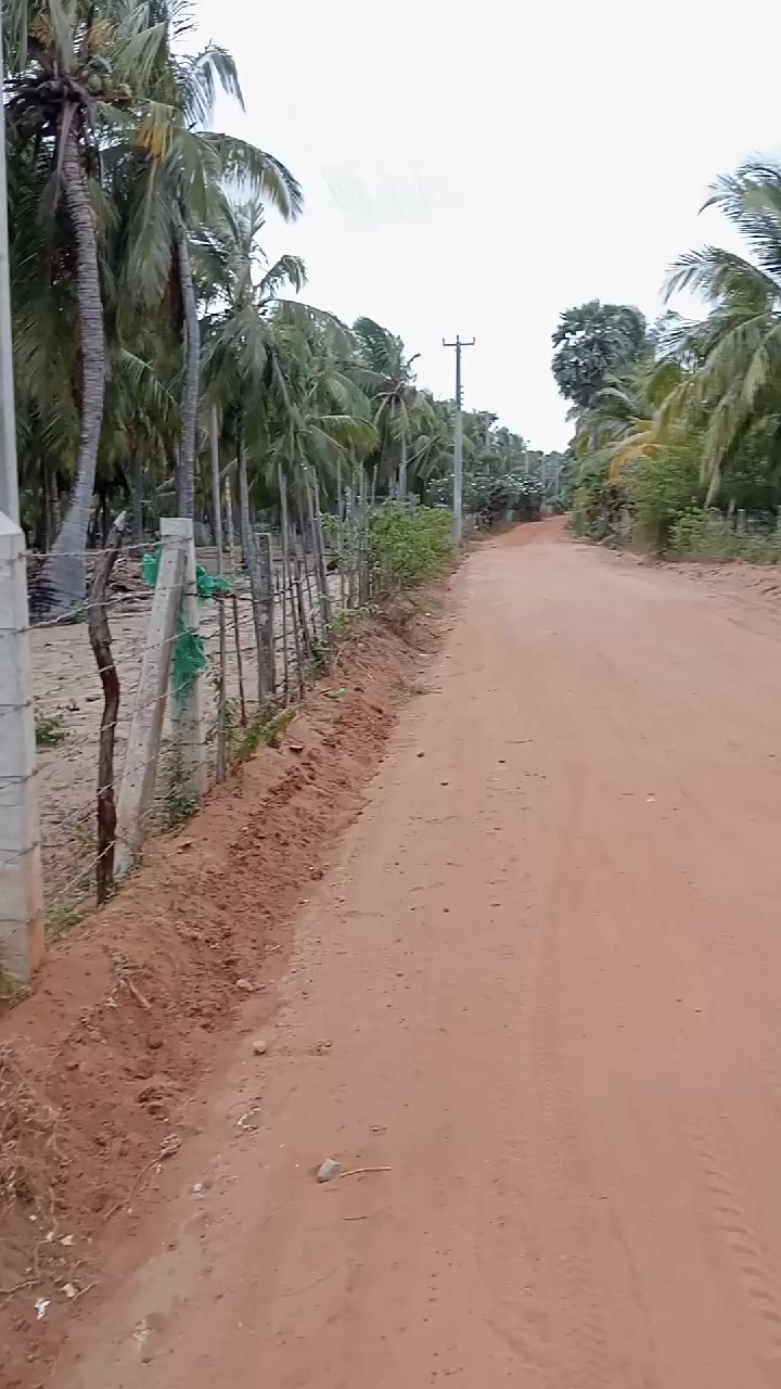 @Niyas Niyas