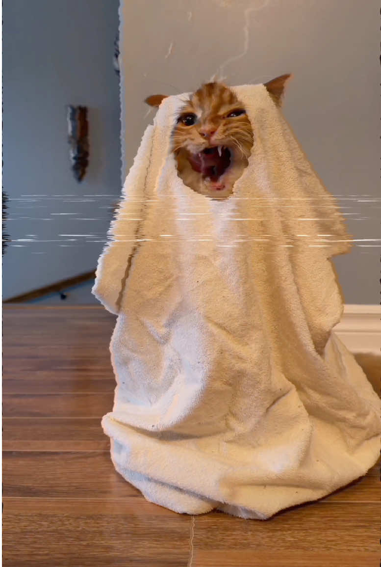 @The Oreo Cat