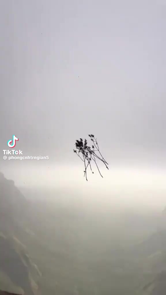 @Zhang Di