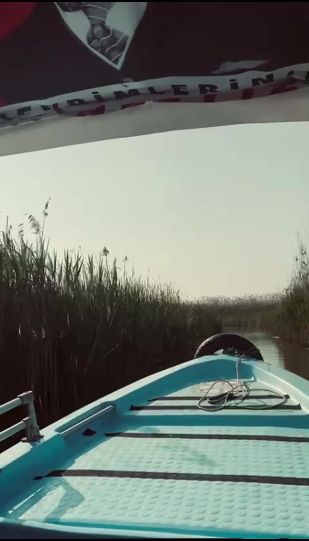 @🦋zalımın kızı🦋