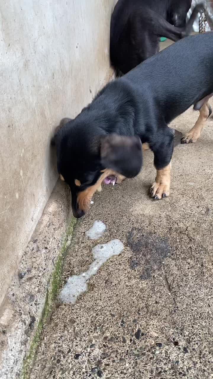@ᡣ𐭩ᥫ᭡Miss_Jezzelᥫ᭡ᡣ𐭩