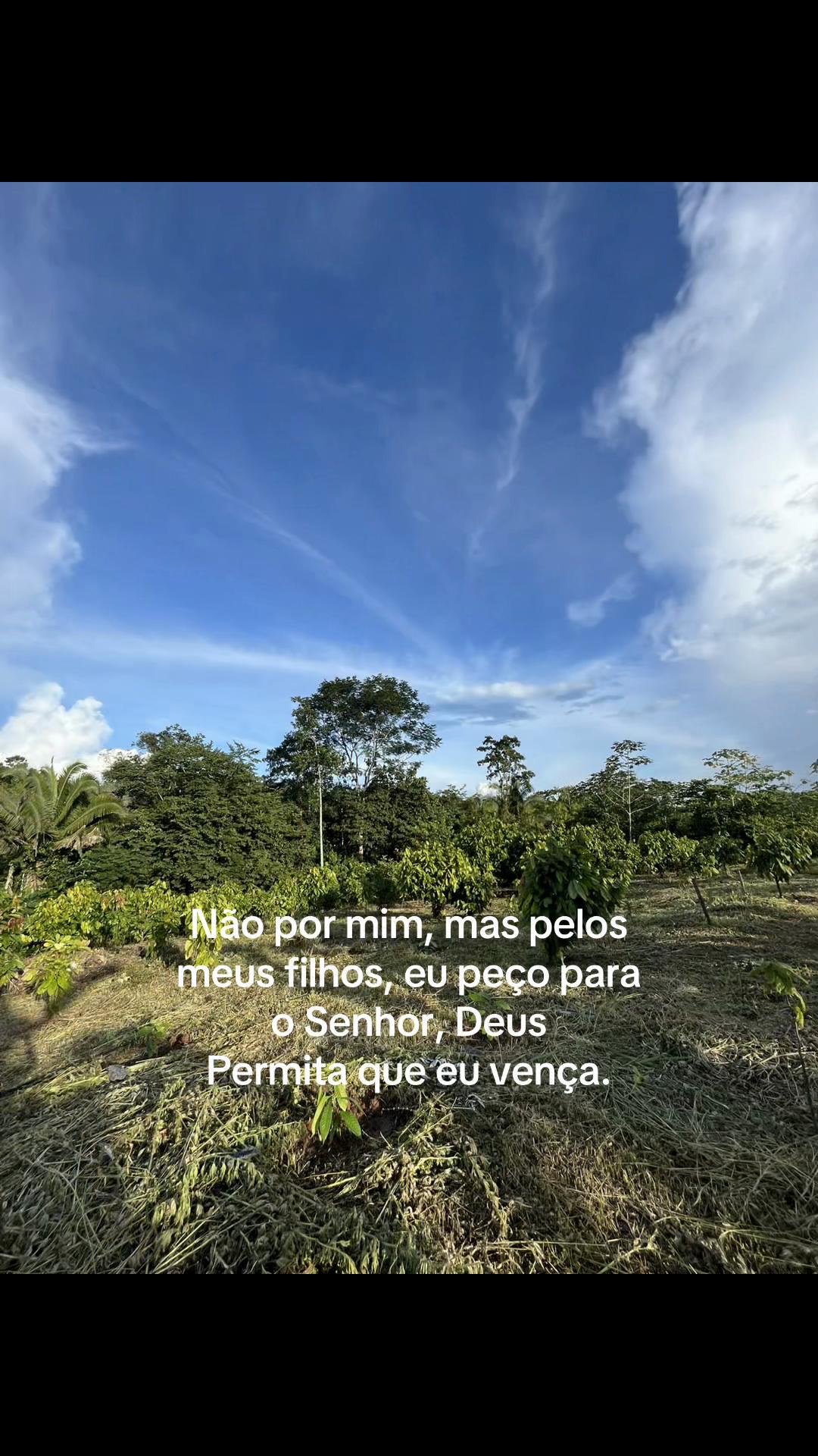 @edilenecoelho