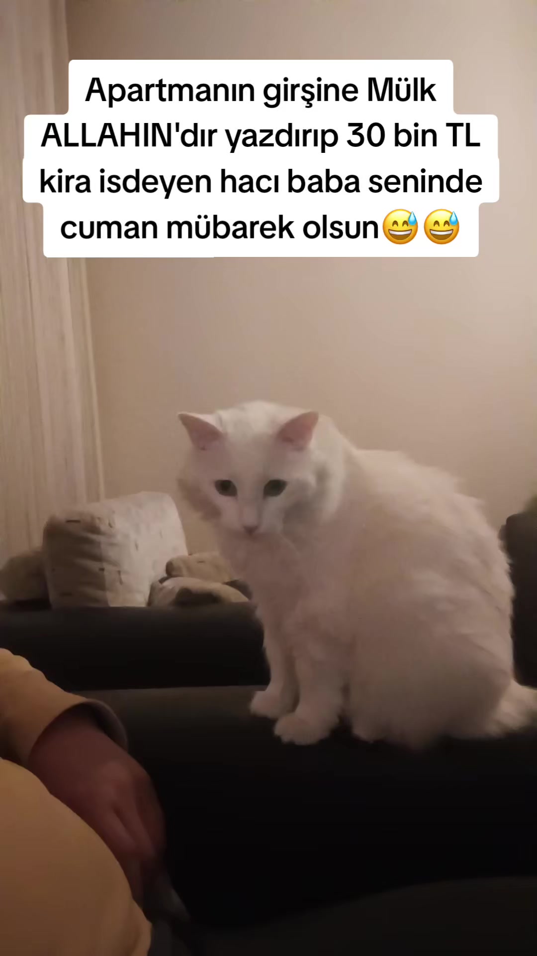 @MUSTAFA38