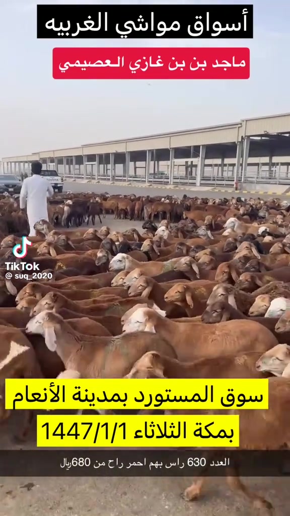 @mohamed_ksa0