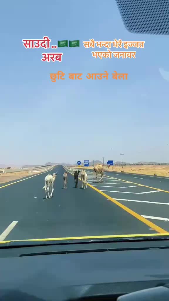 @dipendrayadav761