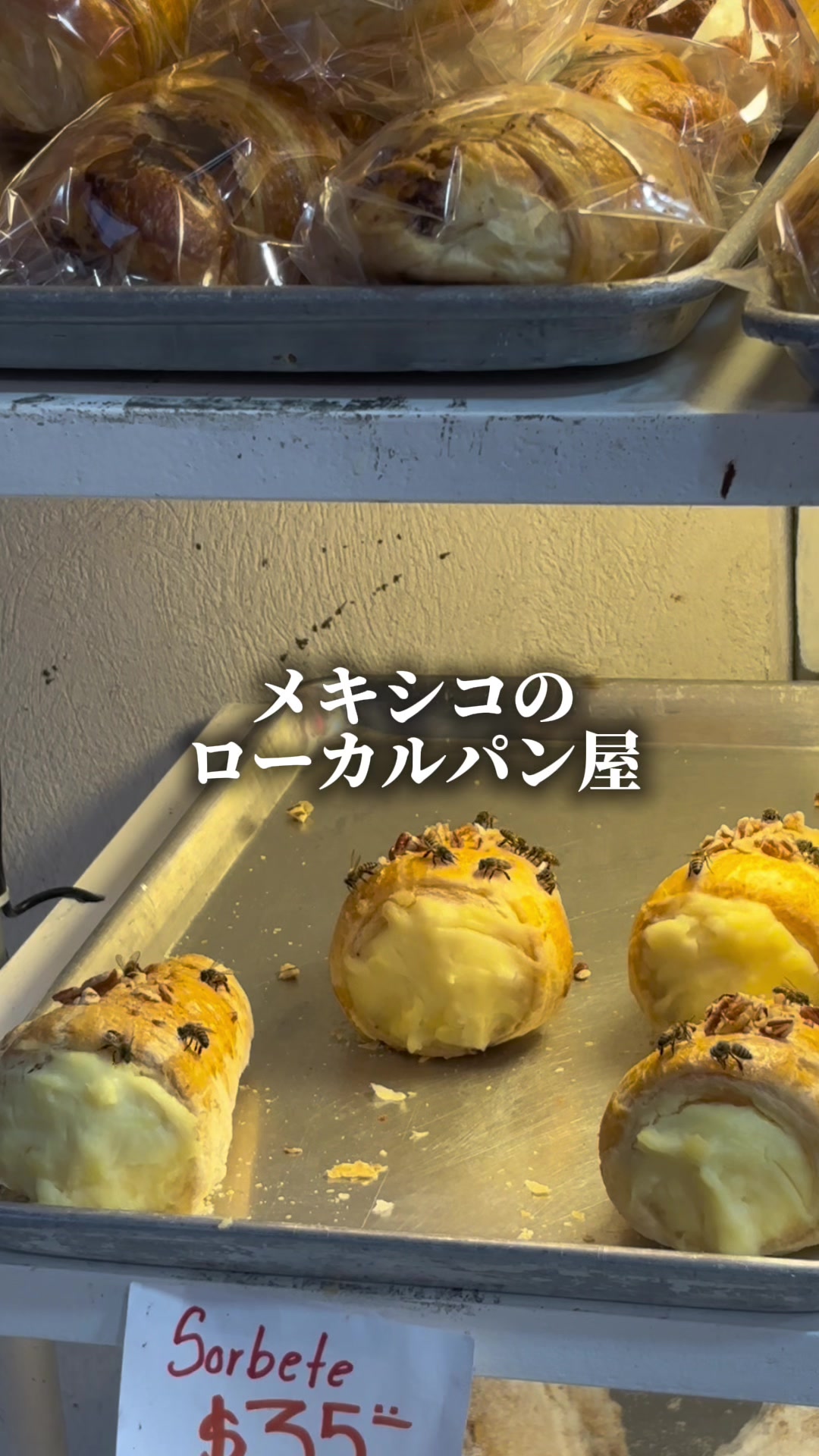 @しゅんぼーー