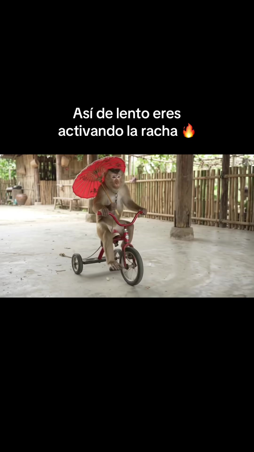 @RabPesito 🔥