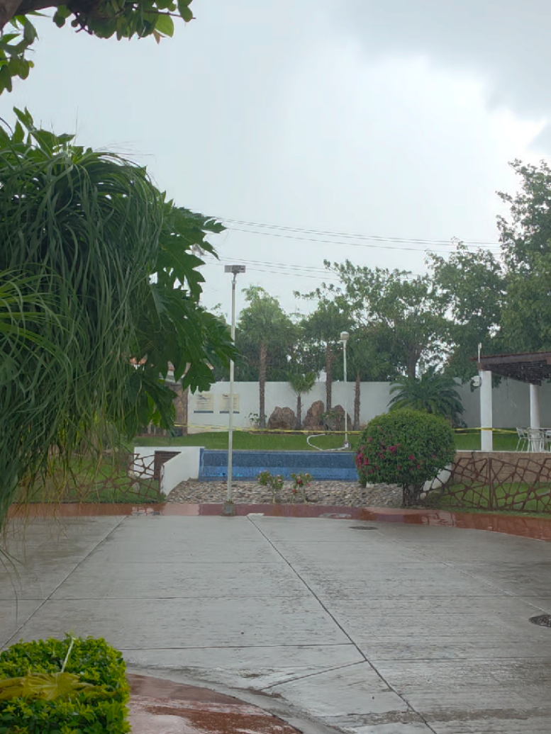 @Siempre Viva!!!