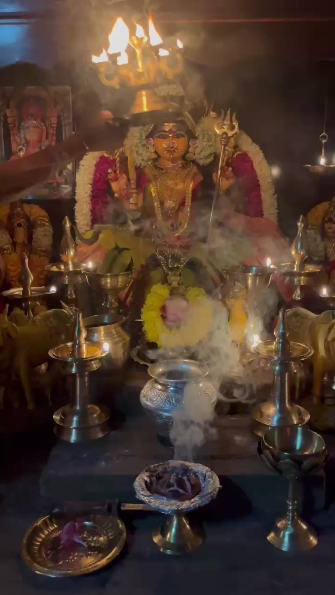 @Vishalini✨🦋✨