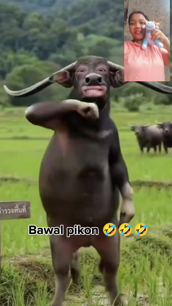 @ruffavlog