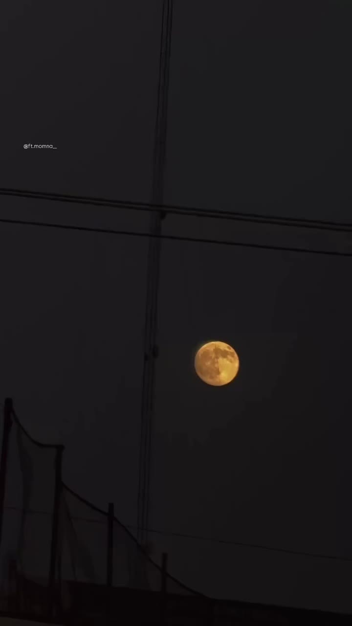 @아즈하르 𓆩♡𓆪