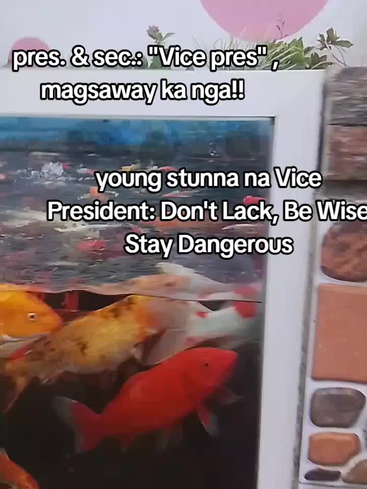 @STCJ 7