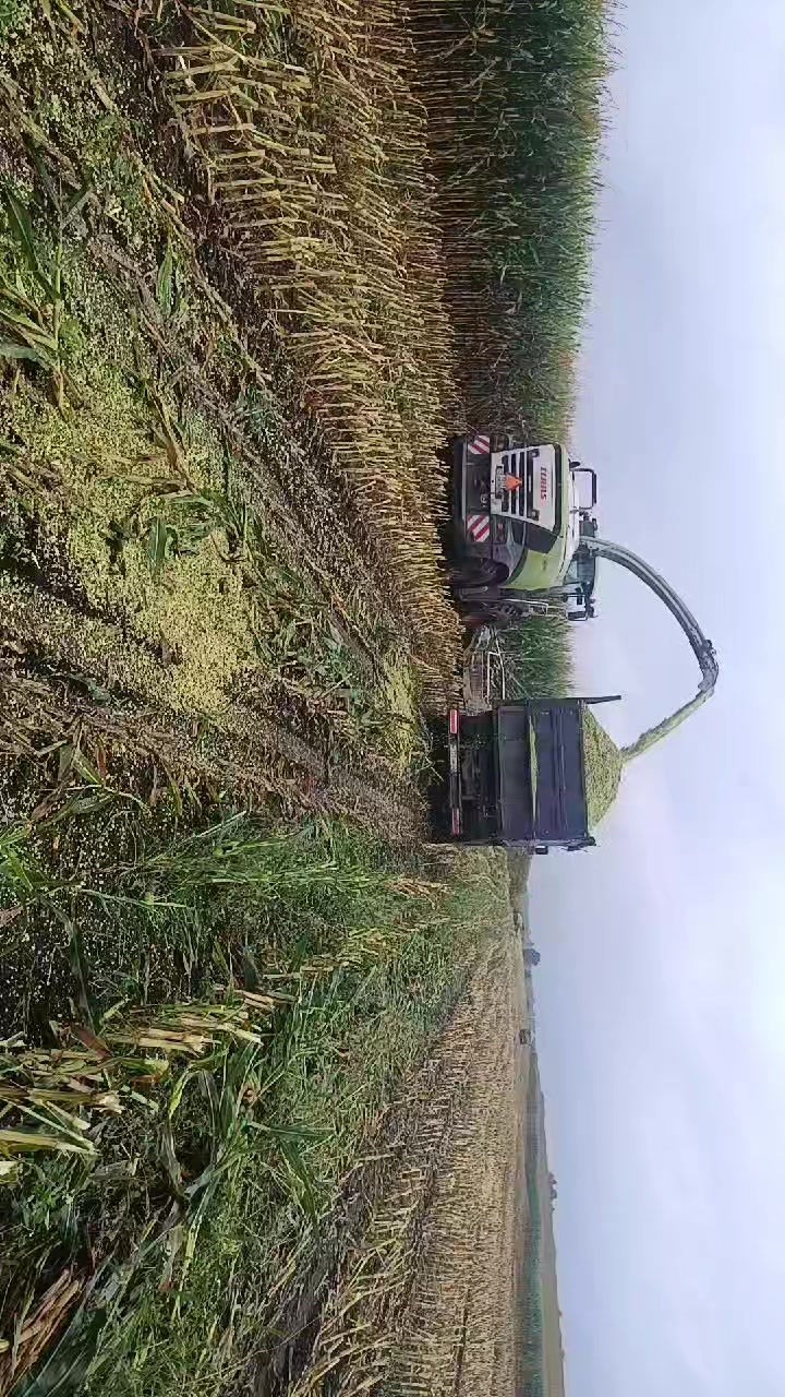 @Александр